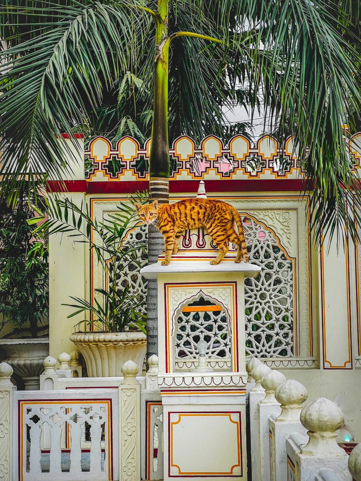 Krishna Palace - A Heritage Hotel Jaipur Buitenkant foto